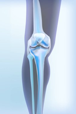 Kemiklerin açık mavi şeffaf görünümü diz