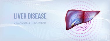 Realistic liver and gallbladder social media banner clipart