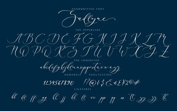 Handgeschreven script cursieve kalligrafie speels lettertype Sadlyne vector alfabet set — Stockvector