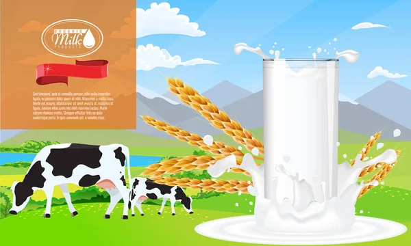 Молоко всплеск и фермы шаблон рекламы, с молоком заливки белое пространство . — стоковый вектор