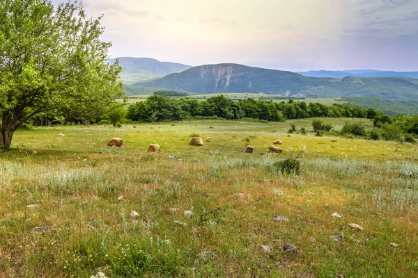 Grüne Wiese im Hintergrund mit weit entfernten Bergen. Offenes Feld mit grünem Gras. — Stockfoto