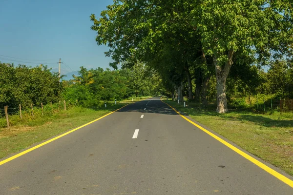 Strada asfaltata autostradale con erba verde e alberi . — Foto Stock