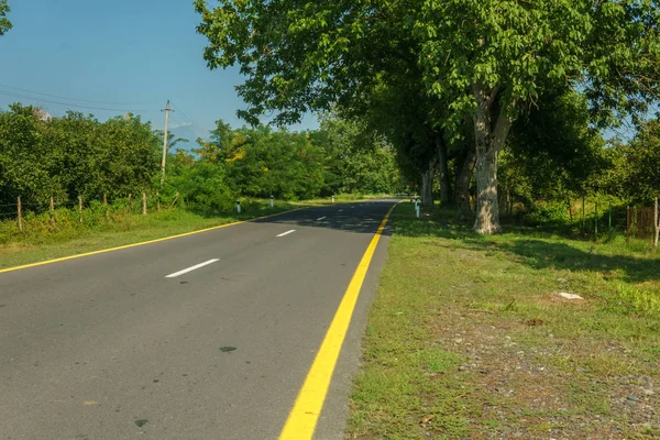 Strada asfaltata autostradale con erba verde e alberi . — Foto Stock