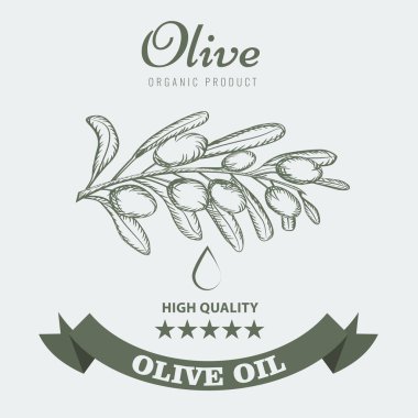 Zeytinyağı ambalaj tasarımı için etiket vintage ile kroki tarzı. Vektör çizim.