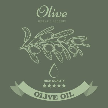 Zeytinyağı ambalaj tasarımı için etiket vintage ile kroki tarzı. Vektör çizim.
