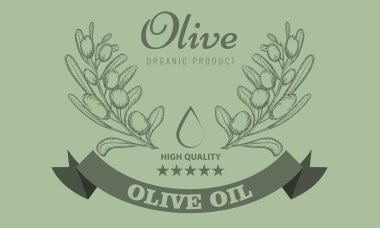Zeytinyağı ambalaj tasarımı için etiket vintage ile kroki tarzı. Vektör çizim.