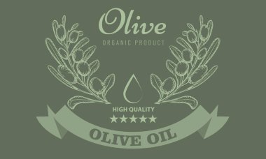 Zeytinyağı ambalaj tasarımı için etiket vintage ile kroki tarzı. Vektör çizim.