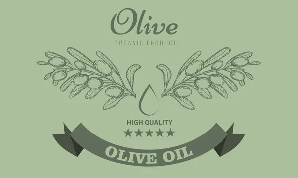 Дизайн упаковки с оливковым маслом для этикетки в стиле винтажного эскиза. Векторная миграция . — стоковый вектор