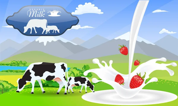 Melk splash aardbei en mooie natuur landschap velden van de berg en weide met koeien. — Stockvector