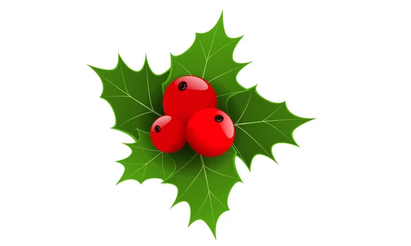 Трехмерные рождественские ягоды и зеленый лист. Векторная иллюстрация . — стоковый вектор