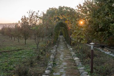 Tünel Bahçe arka plan yürüyüş sebze. Arche bitkiler, ağaçlar ve yaprakları kadar yapılan.