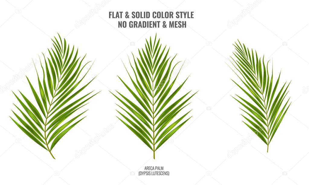 Areca palm sketch or watercolor style by hand drawing. Palm leaf for your design. Vector Illustration.