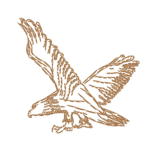 Bald Eagle With Spreaded Wings for symbol or logo design. Line art style Vector illustration.