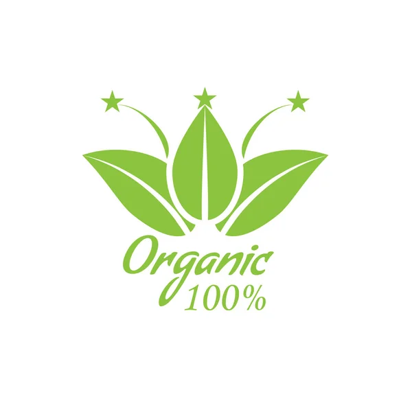Логотип здоровой органической пищи с листьями. Векторная иллюстрация . — стоковый вектор