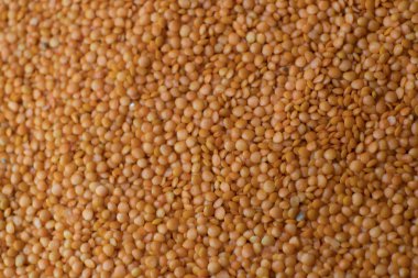 Kırmızı veya turuncu mercimek arka plan. Mercimek Grup.