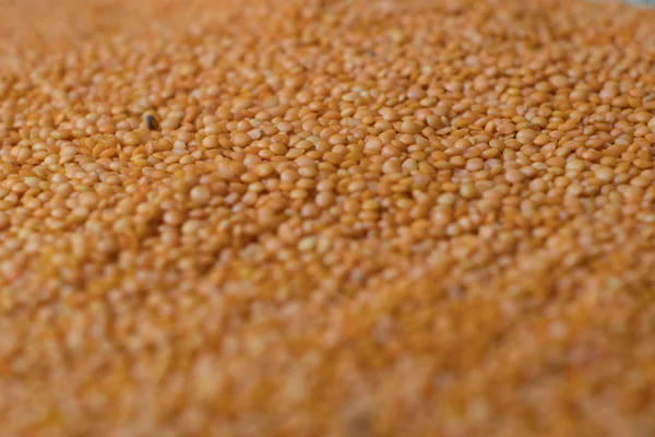 Red or orange lentils background. Group of lentils. — Stock Photo, Image