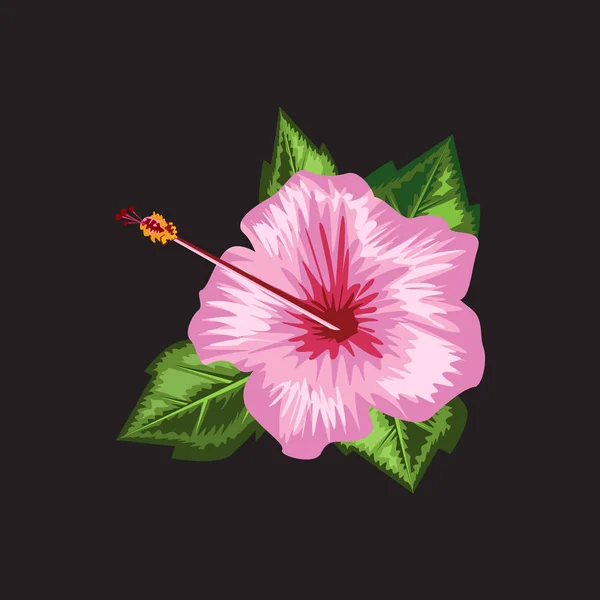 Hibiscus blommande blomma med akvarell eller hand dras stil. Platt och enfärgad design. Vektorillustration. — Stock vektor