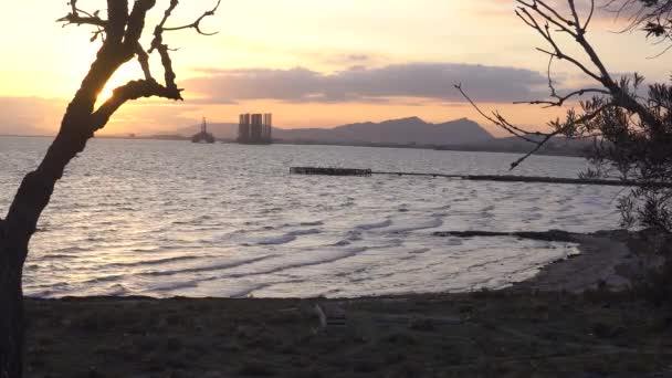 Fantastisk havsutsikt med träd silhuett att göra ram. Seashore med berg och olja derrick. 4k-video. — Stockvideo