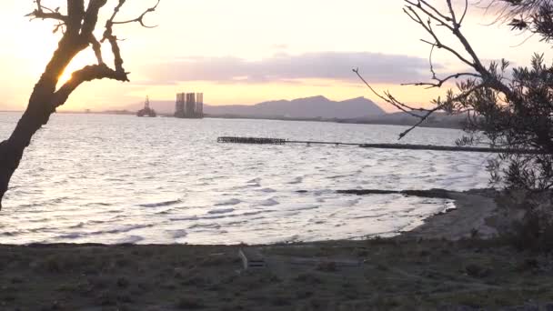 프레임 테두리를 만드는 나무 실루엣으로 놀라운 바다 전망. 산 및 오일 데 릭과 해변입니다. 4 k 비디오. — 비디오
