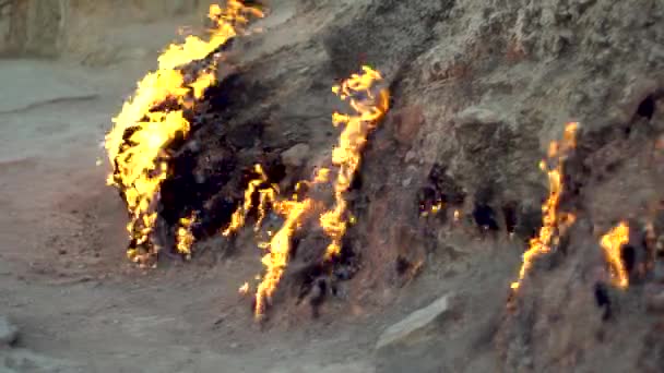 Terrain brûlant naturel. Brûler le gaz naturel du sous-sol . — Video