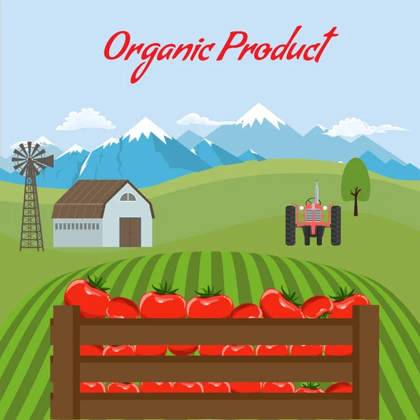 Çiftlik manzara arka plan domates mockup. Etiket tasarımını domates ürünleri için. Düz renk stil vektör çizim. — Stok Vektör