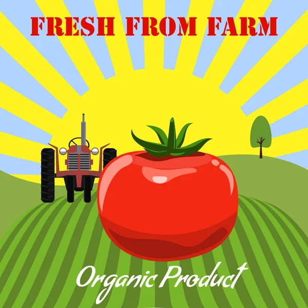 Maqueta de tomate en el fondo del paisaje de la granja. Diseño de etiquetas para productos de tomate. Ilustración de vector de estilo de color plano . — Vector de stock