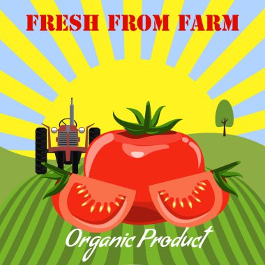 Çiftlik manzara arka plan domates mockup. Etiket tasarımını domates ürünleri için. Düz renk stil vektör çizim.