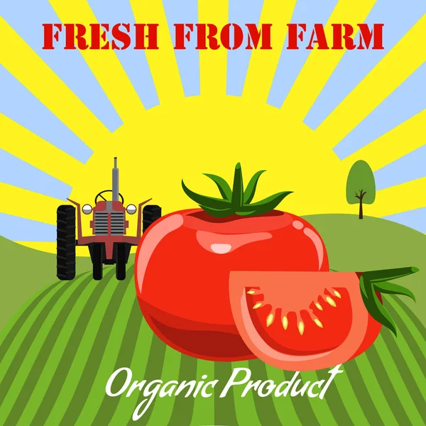 Maqueta de tomate en el fondo del paisaje de la granja. Diseño de etiquetas para productos de tomate. Ilustración de vector de estilo de color plano . — Vector de stock