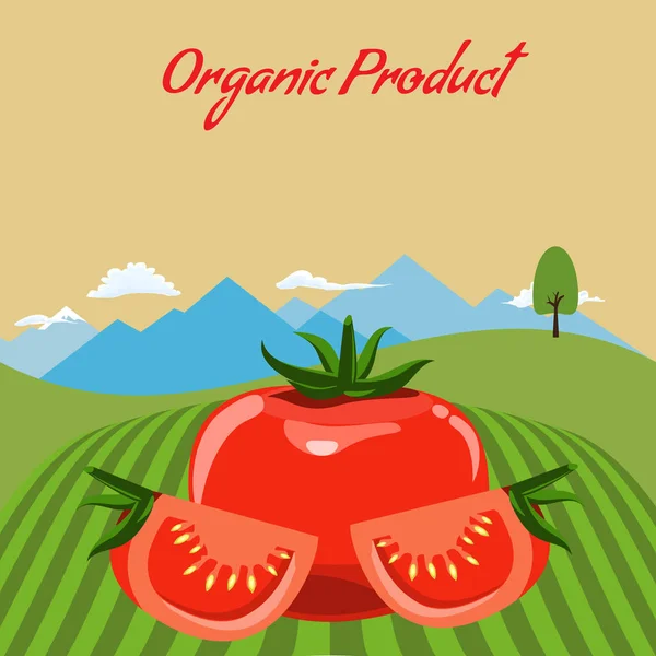 Maqueta de tomate en el fondo del paisaje de la granja. Diseño de etiquetas para productos de tomate. Ilustración de vector de estilo de color plano . — Vector de stock