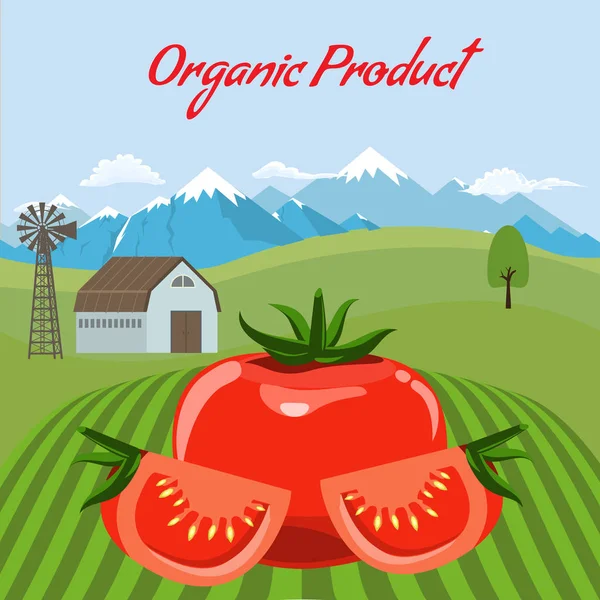 Maqueta de tomate en el fondo del paisaje de la granja. Diseño de etiquetas para productos de tomate. Ilustración de vector de estilo de color plano . — Vector de stock