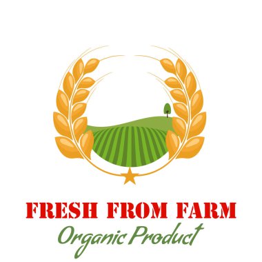 Buğday ve çiftlik daire laruel tarzı ile. Organik gluten ücretsiz logo veya simge için. Düz stil vektör çizim.