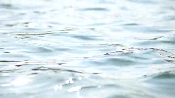 바다 또는 연못 호수 물 파도 표면 가까이. — 비디오