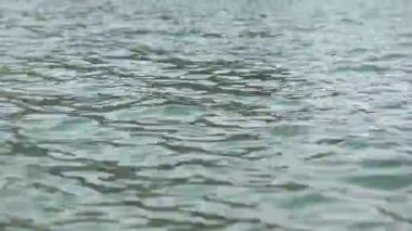 Yakın yukarı deniz veya gölet Göl su dalgaları yüzey. Döngü edilebilir video.