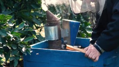 Arı-maker veya arı çerçeveleri üzerinde çalışan arıcı adam. Temizleme kovan çerçeveleri.