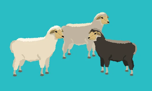 Groep van zwart-wit sheeps met solide en platte kleur ontwerp. — Stockfoto