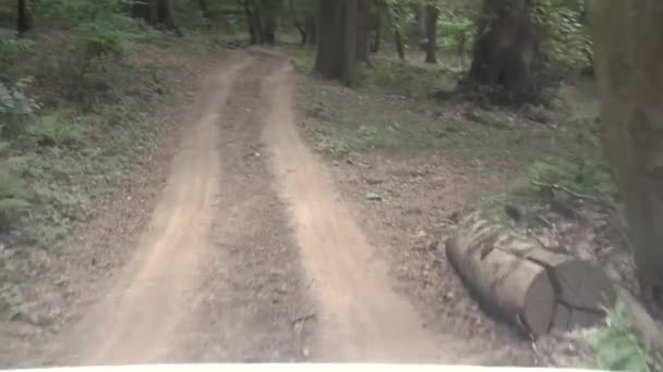 越野驾驶在惊人的森林。越野车内部的晃动视频. — 图库视频影像