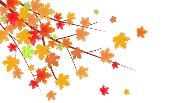 Feuilles d'automne branche. Espace vide pour votre conception ou texte. Illustration vectorielle . — Image vectorielle