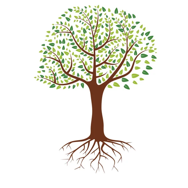 Απλό δέντρο με πράσινα φύλλα και ρίζες με επίπεδη και στερεά χρώματα για το σχέδιό σας. Απεικόνιση διανυσματικών φορέων. — Διανυσματικό Αρχείο