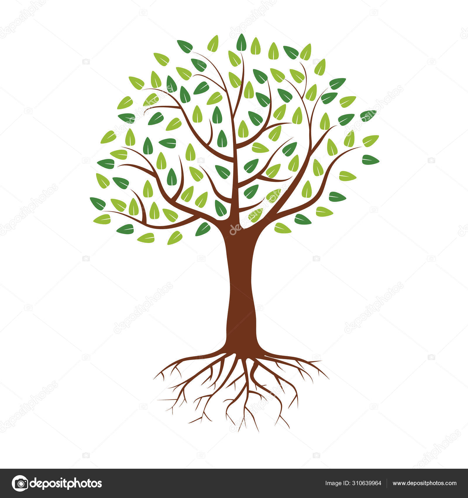 녹색 잎과 디자인에 대한 평면과 단색 의 뿌리일반 나무. 벡터 일러스트레이션. 스톡 벡터 - ©zeynurbabayev 310639964, image size:1600x1700