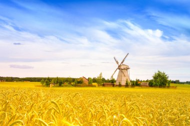 Ahşap fırıldak arka plan alanı ve gökyüzü. Dudutki Köyü, Minsk, Beyaz Rusya