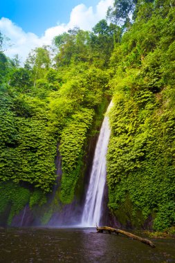 Şelale tropik ormanın içinde. Munduk, Bali