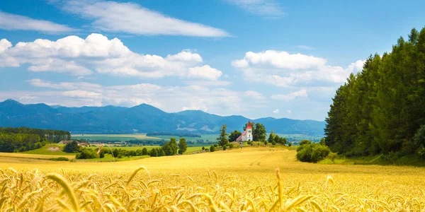 Campo de centeio e capela na colina — Fotografia de Stock