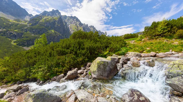 Majestosas montanhas paisagem sob o céu da manhã com nuvens. Alta Tatra paisagem de verão de montanha — Fotografia de Stock