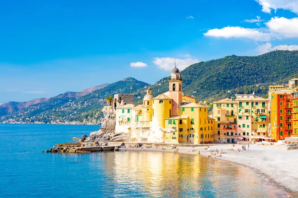Doğal Akdeniz riviera sahil. Panoramik Camogli şehir Liguria, İtalya. Bazilika Santa Maria Assunta ve renkli saraylar. İtalya