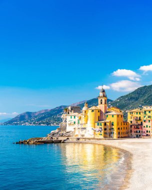 Doğal Akdeniz riviera sahil. Panoramik Camogli şehir Liguria, İtalya. Bazilika Santa Maria Assunta ve renkli saraylar. Liguria, İtalya