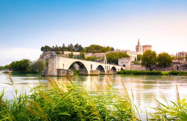 Saint Benezet bridge in Avignon in a beautiful summer day, France clipart