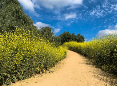 Nisan 'da Kaliforniya' daki Hellman Park manzarası 