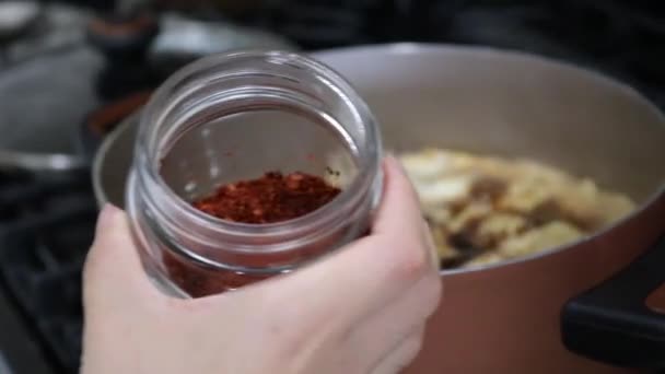 Kühles Pulver Das Beim Kochen Traditioneller Chinesischer Fünf Gewürze Gerichte — Stockvideo