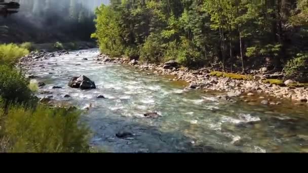Zoom Out Κίνηση Του Ποταμού Animas Θέα Από Ένα Τρένο — Αρχείο Βίντεο