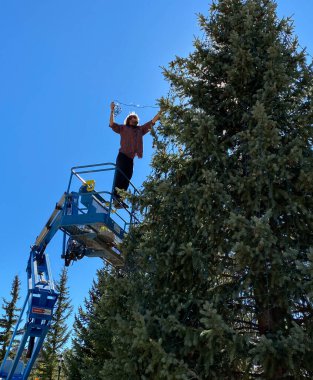 Breckenridge, CO / USA - 29 Eylül 2020: Cin hava asansöründe duran belediye işçisi, öğleden sonra Blue River Plaza 'daki ağaca Noel ışıkları yerleştiriyor.